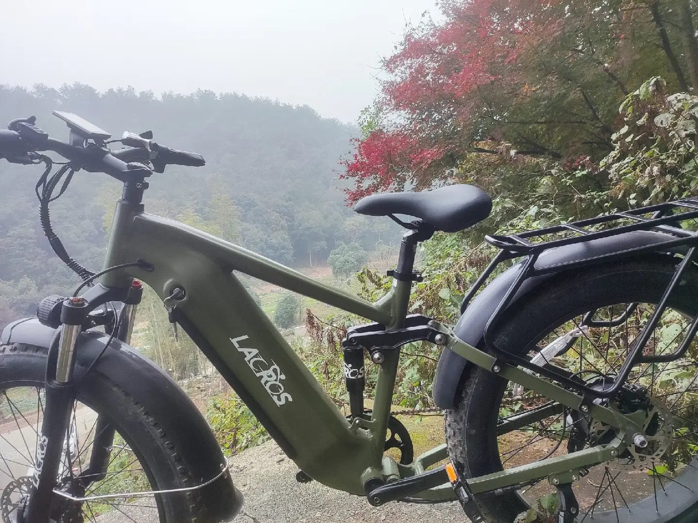 Customer photo review of Thunder