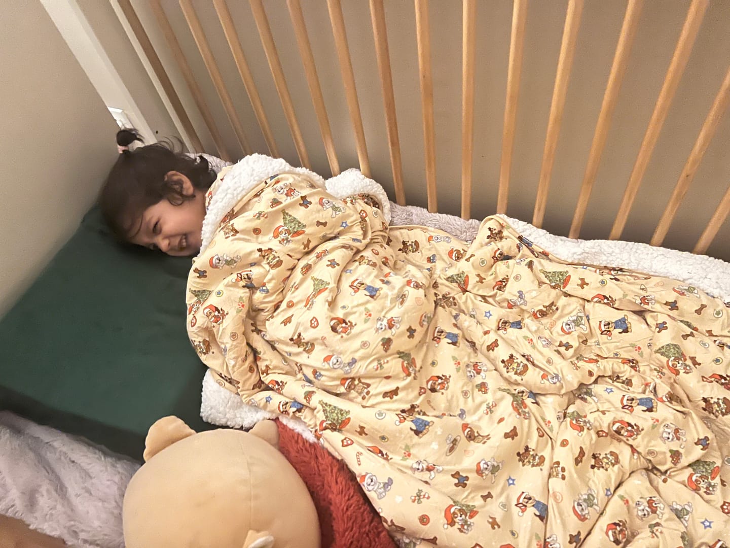 Customer photo review of PAW Patrol: Jingle Paws Bamboo Sherpa Blanket
