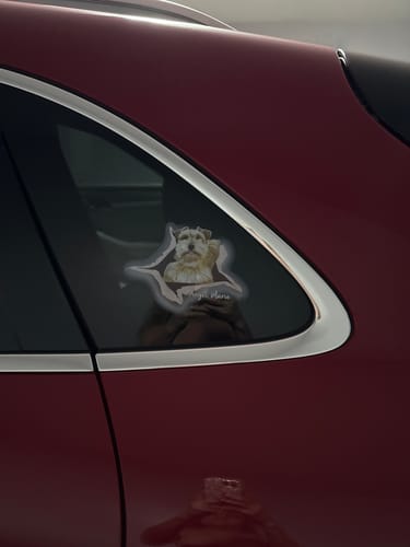 Customer photo review of Personalized Dog Crack Car Sticker, Toilet Sticker, Fridge Sticker