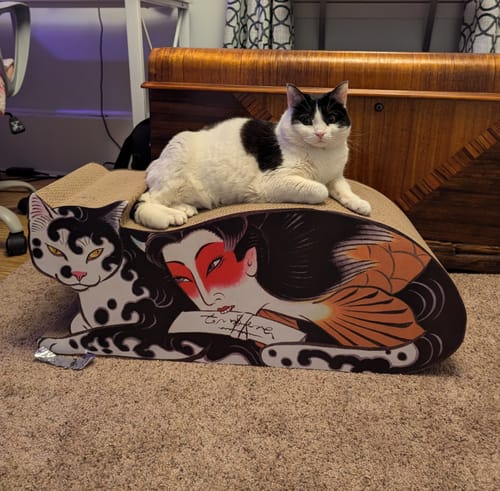 Customer photo review of Ningyo Cat Scratcher