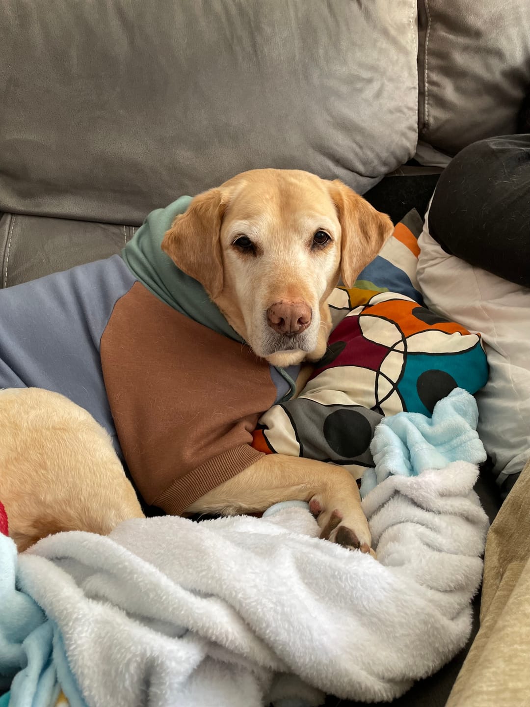 Customer photo review of Alpine Human Hoodie