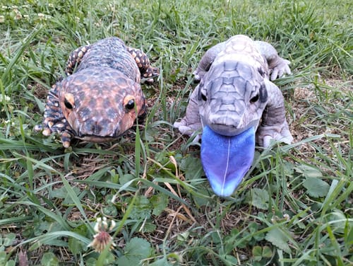 Customer photo review of Shingleback Plushie