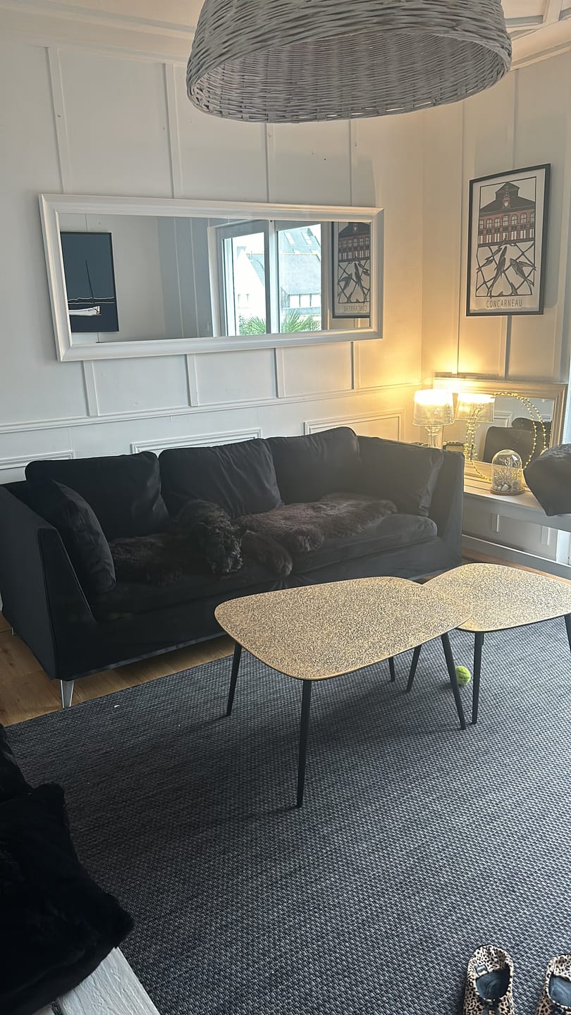 Customer photo review of STOCKHOLM 3 Seat IKEA Sofa Cover
