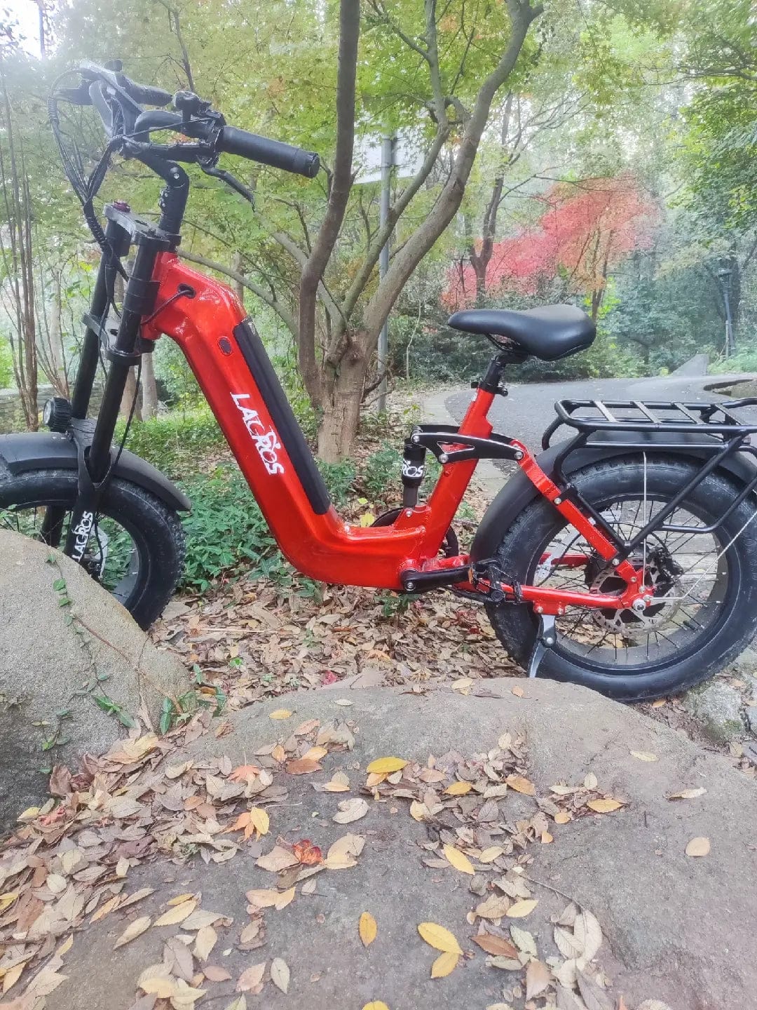 Customer photo review of Cyclone