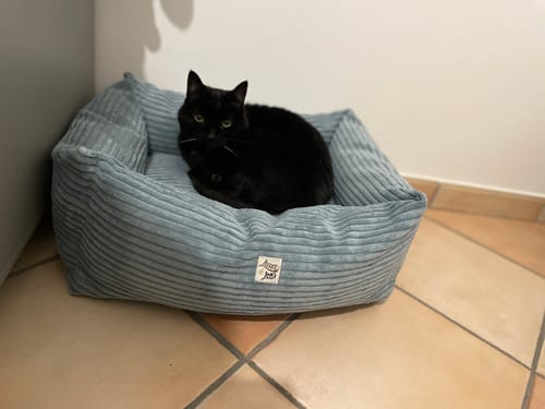 Customer photo review of Divanetto Velluto a Coste Celeste