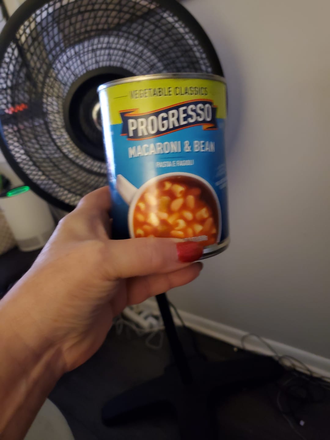 Customer photo review of Progresso Vegetable Classics Soup Macaroni & Beans - 19 OZ 12 Pack