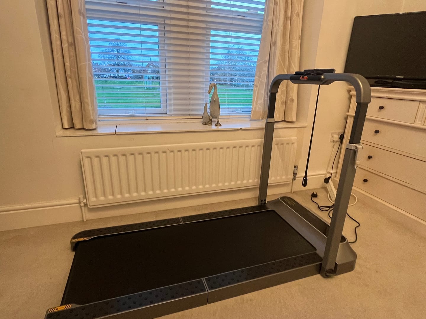 Customer photo review of WalkingPad R2 Walk&Run 2IN1 Folding Treadmill 7.5 MPH 240 lbs For UK