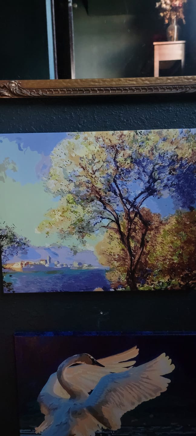 Customer photo review of Antibes Seen from the Salis Gardens - Paint by Numbers