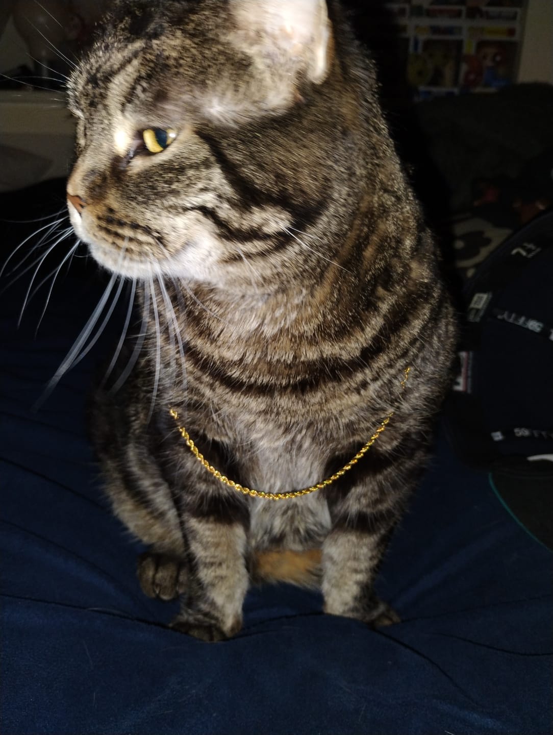 Customer photo review of Rope Chain - 18K Gold Plated