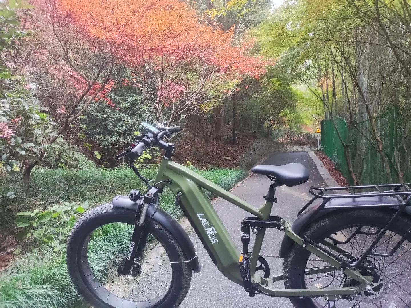 Customer photo review of Thunder