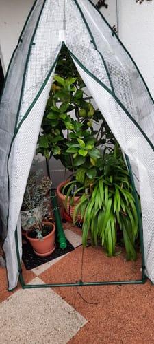 Customer photo review of Elektrogewächshausheizung Kompakter Frostwächter mit 135 Watt