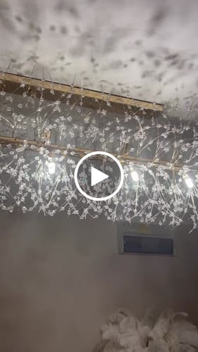 Customer video review of Modern 12-Light Crystal  Linear Chandelier