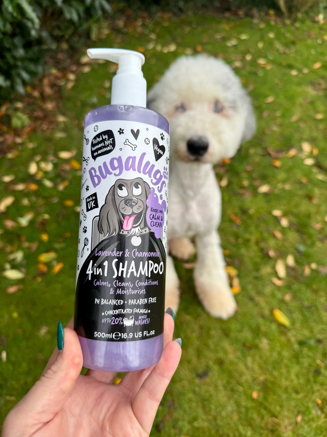 Customer photo review of Lavender & Chamomile 4 in 1 Calming Dog Shampoo