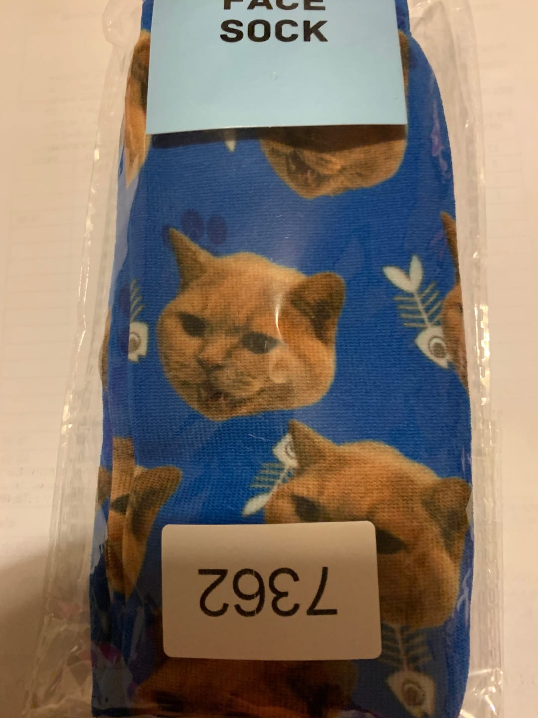 Customer photo review of FaceSock | Custom Cat Socks With Photo