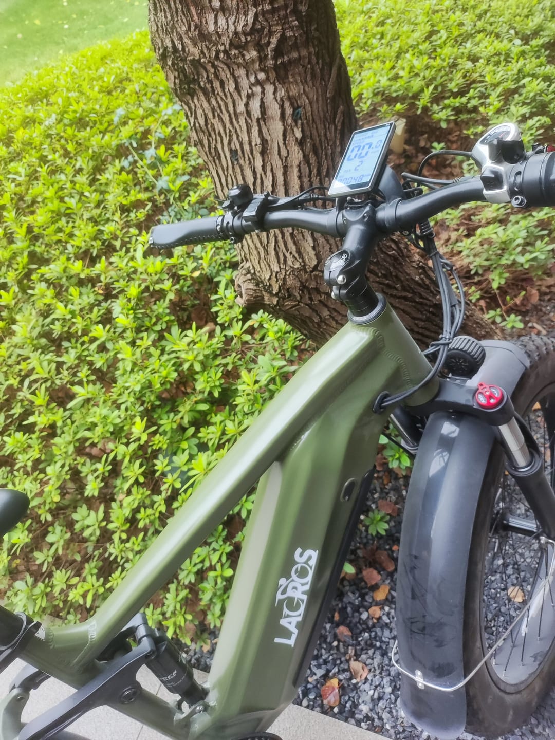 Customer photo review of Thunder