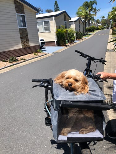 Customer photo review of All In One Pet Carrier Bag | Dog Bike Basket | Backpack for Dogs & Cats | Car Booster Seat