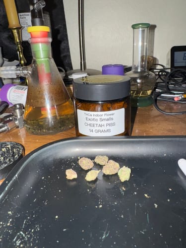 Customer photo review of Cheetah Piss - Exotic Smalls
