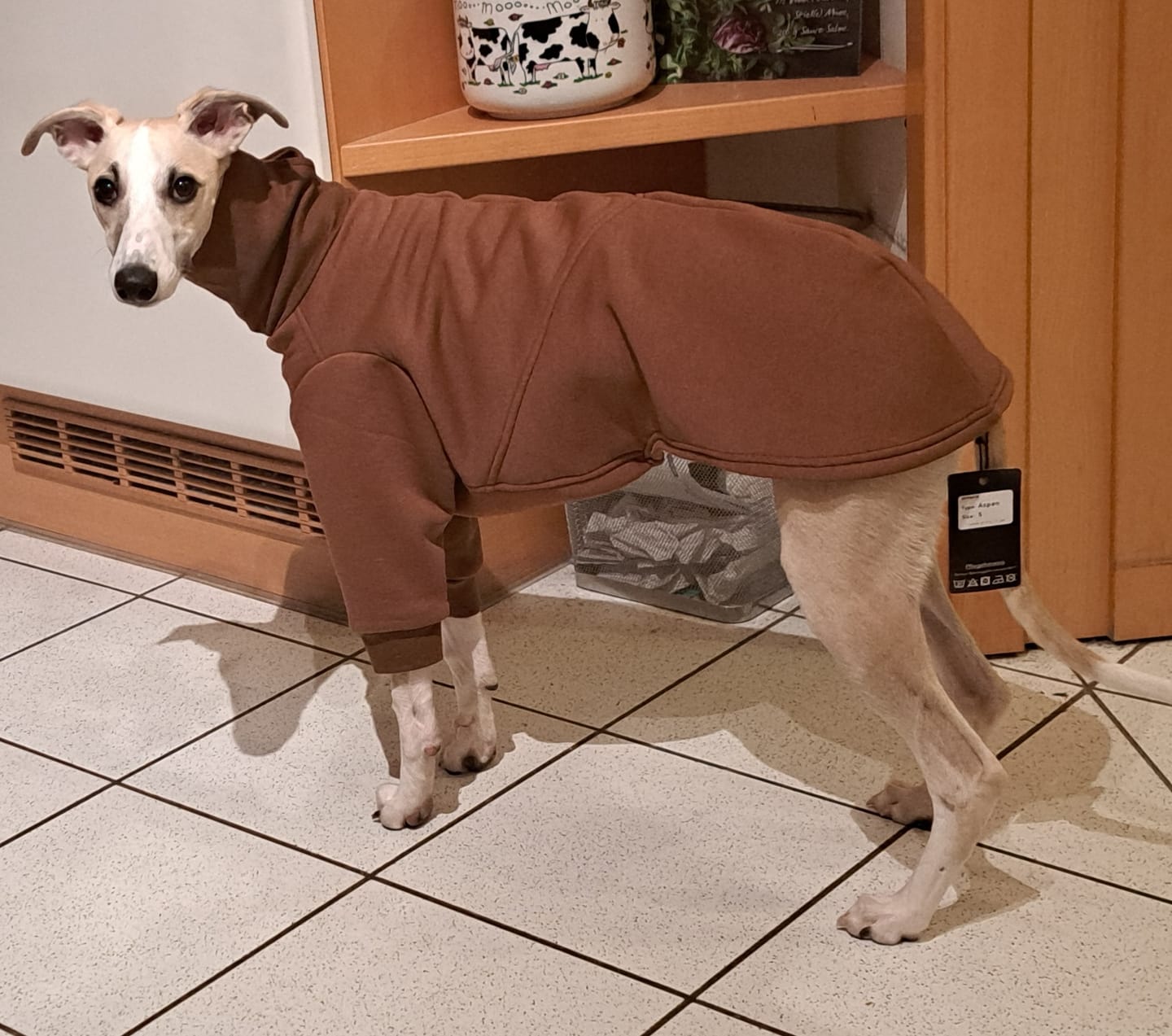 Customer photo review of Aspen "Pretzel Brown"