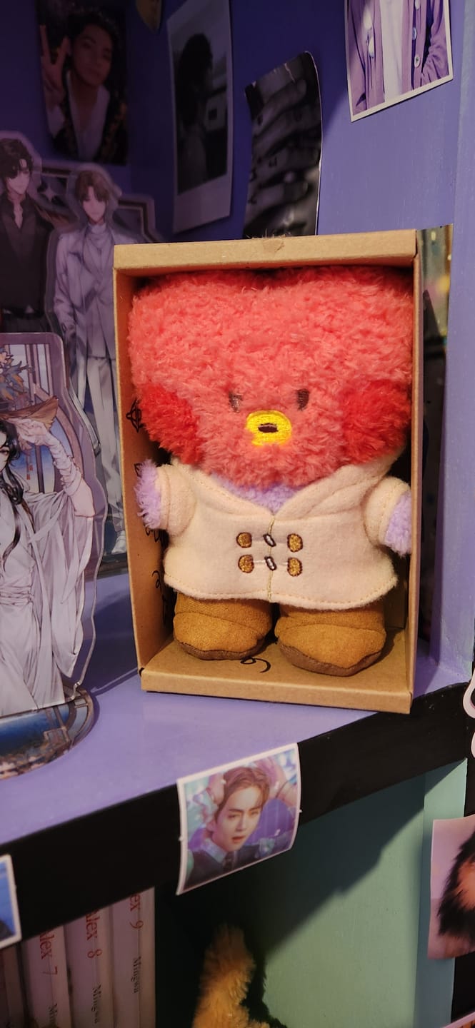 Customer photo review of BT21 - BOOTS EDITION MININI DOLL