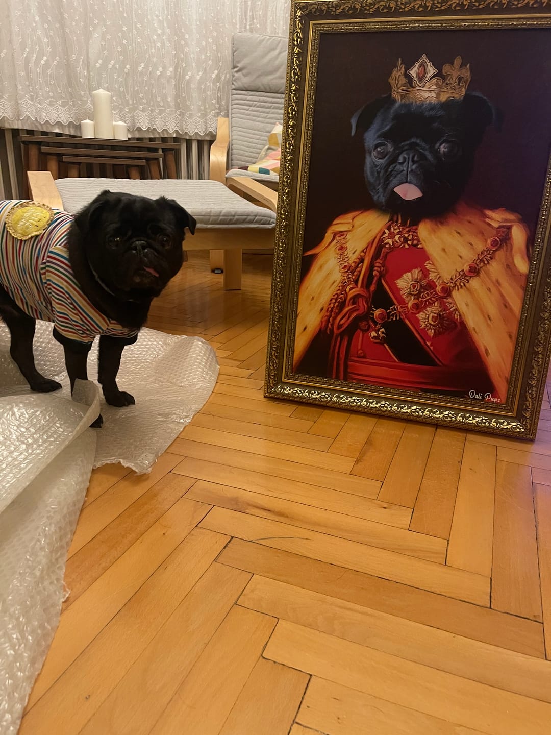 Customer photo review of The King of the Seven Kingdoms