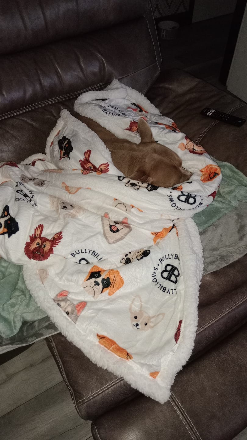 Customer photo review of Luxury Dog & Human Blanket