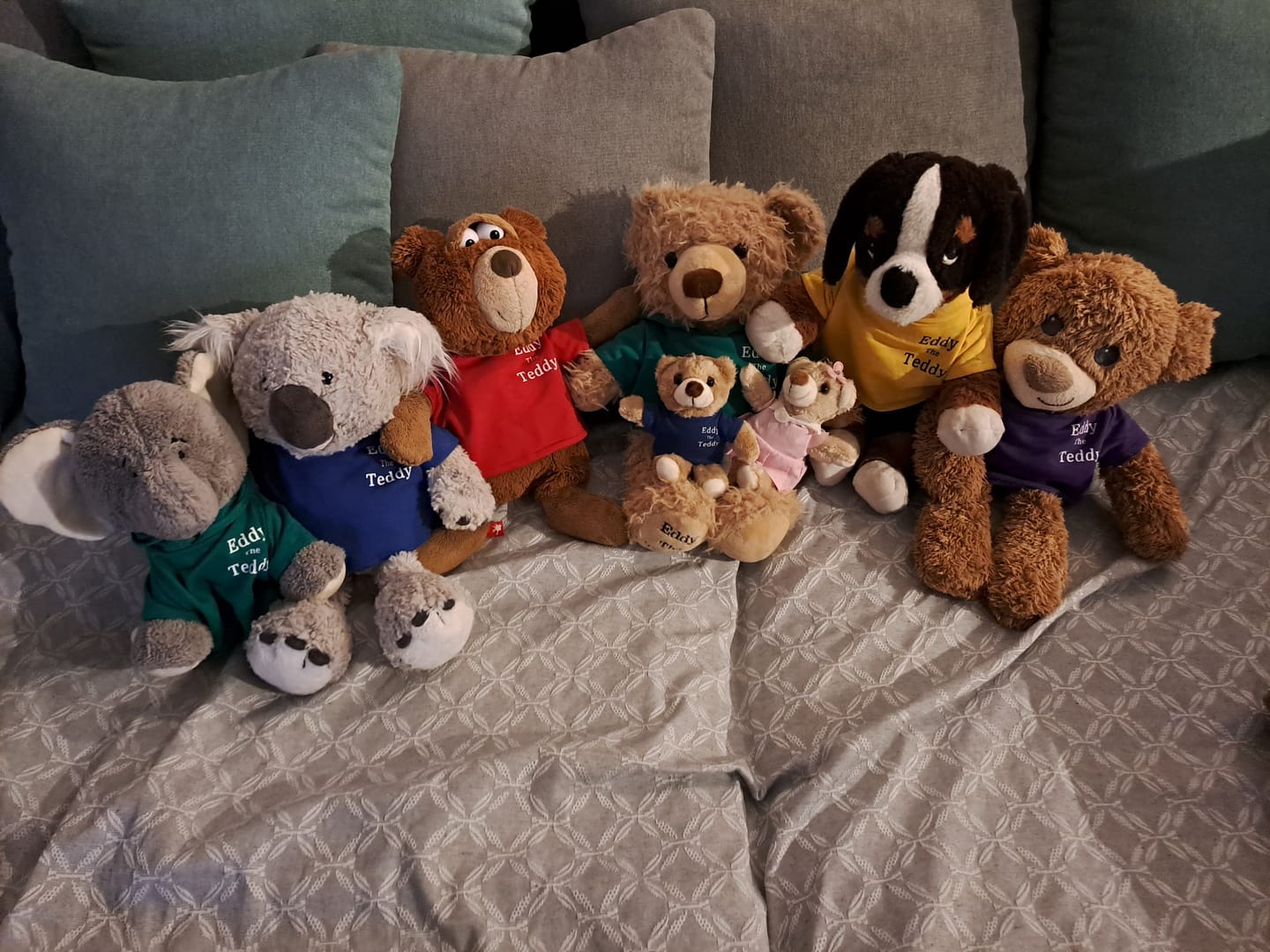 Customer photo review of 32cm Eddy the Teddy Clothing (pack of 5)
