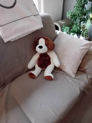 Customer photo review of Lotgenootje Hond 2kg