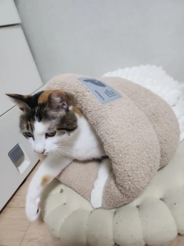 Customer photo review of EasyPet Katzen-Schlafsack