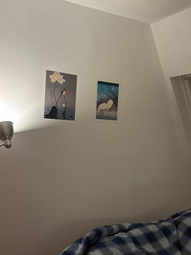 Customer photo review of Estampe Japonaise Aigrettes & Roseaux