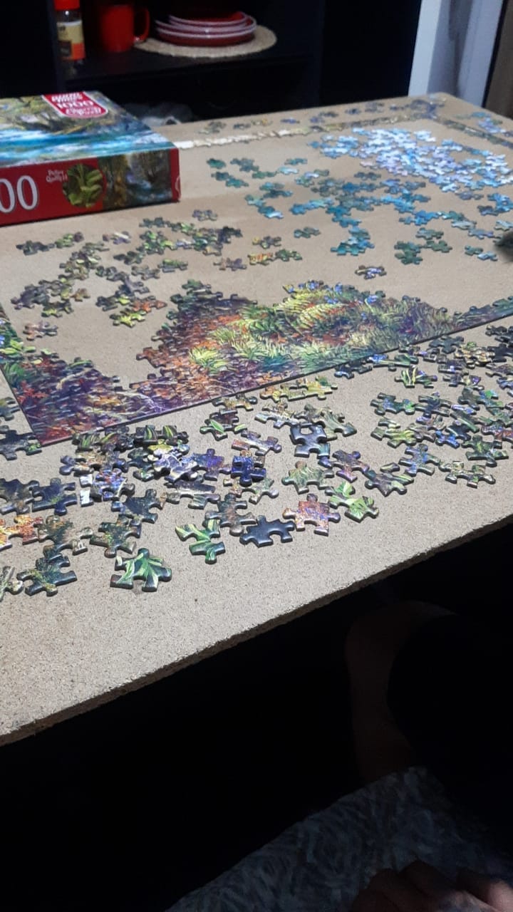 Customer photo review of Puzzle 1000 Piezas - Hidden Stream