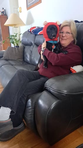 Customer photo review of PawScarf