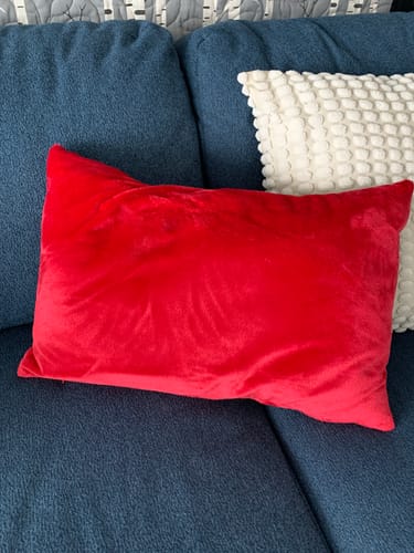 Customer photo review of Red Solid Minky Fabric