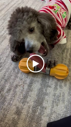Customer video review of MIX FLAVORED CHEWS ( A PACK OF 6 STICKS )