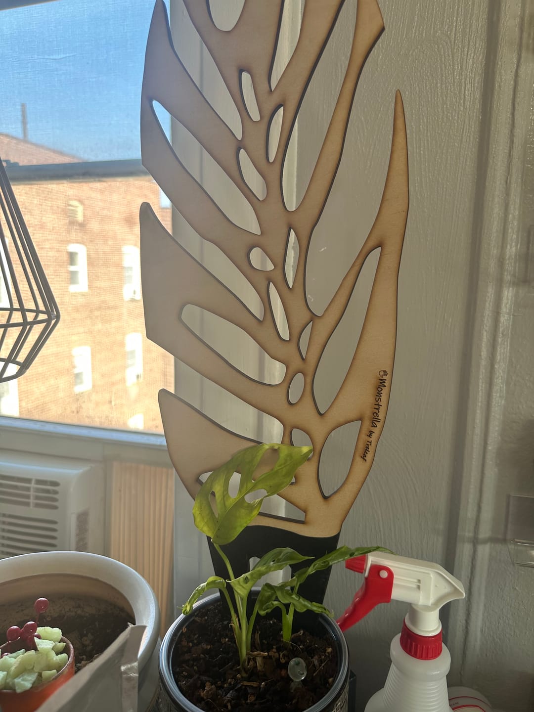 Customer photo review of BARE™ Monstrella™ - Customizable wooden plant support - Inspired by the Monstera leaf