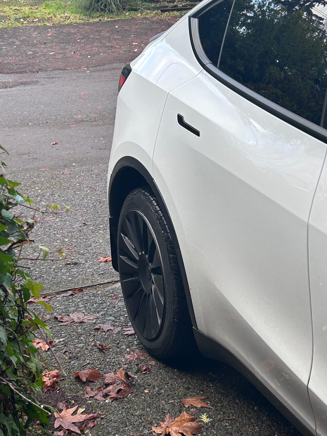 Customer photo review of TESPLUS 19'' Blade Style Wheel Cover for Model Y