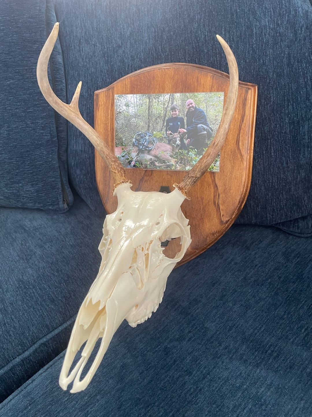 Customer photo review of Award / Taxidermy Mount Plaque Style 4 (Euro Deer) - Acrylic Router Template