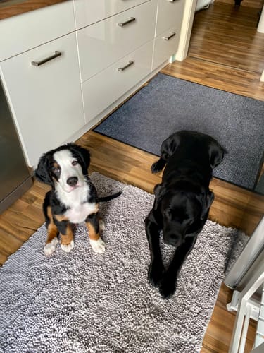 Customer photo review of Premium - CleanyMat