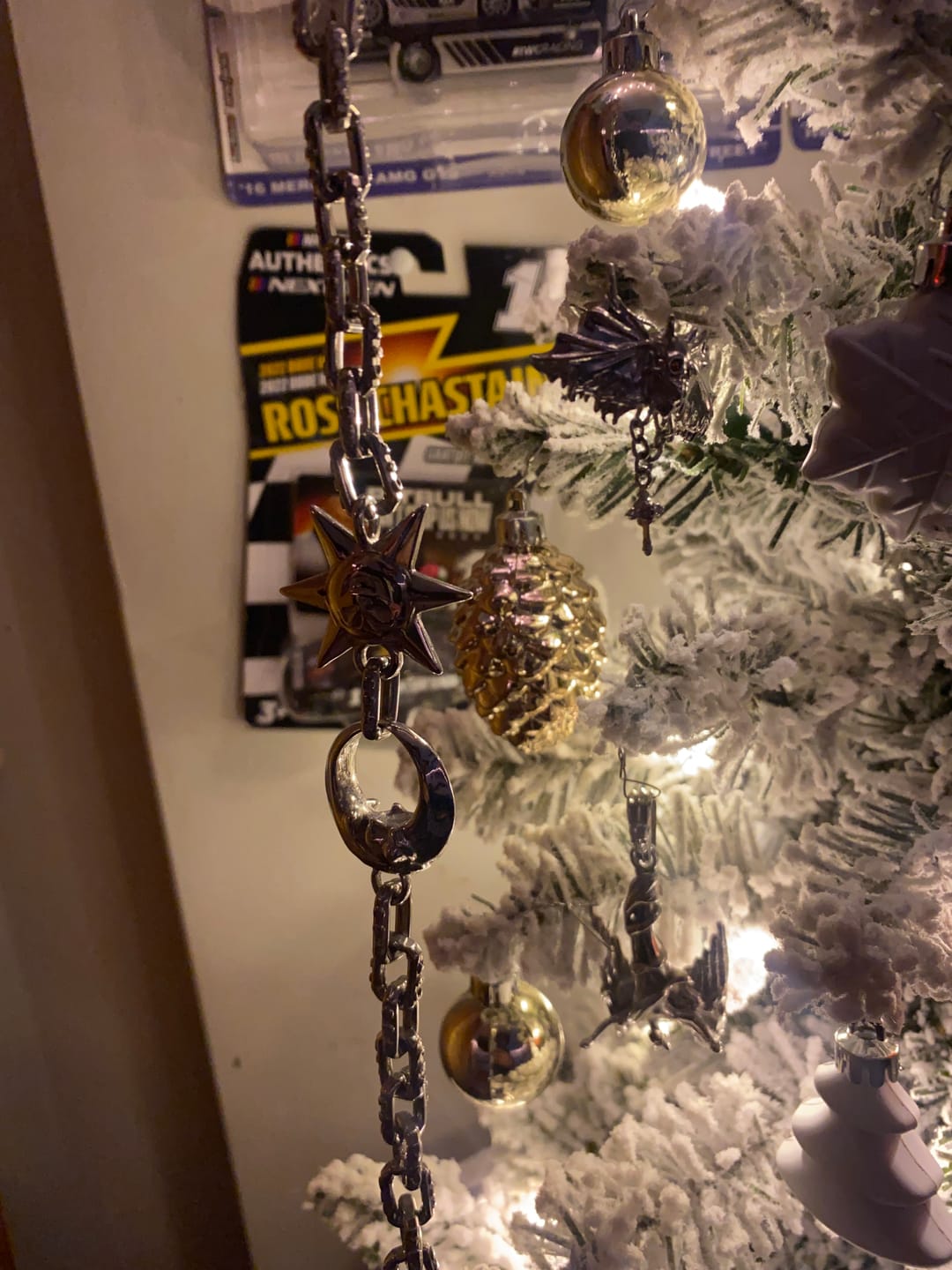 Customer photo review of ASTROLOGY WALLET CHAIN