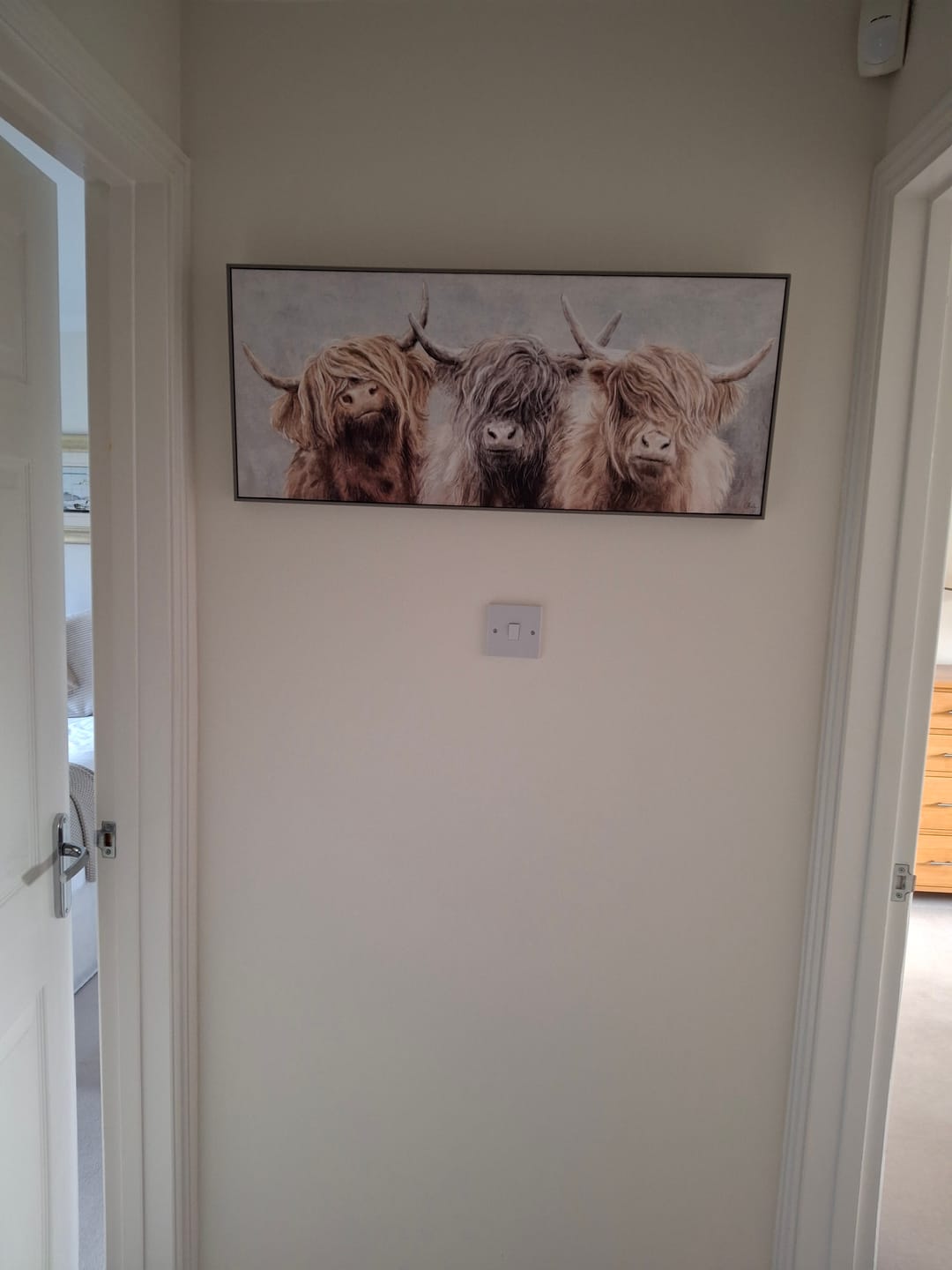 Customer photo review of Three of a Kind By Charlotte Oakley (Small)