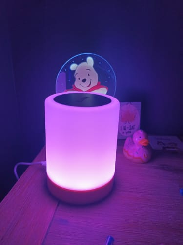 Customer photo review of Friendship Lamp