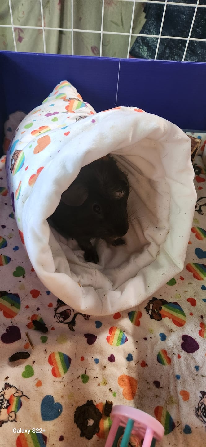 Customer photo review of Cosy Cottage