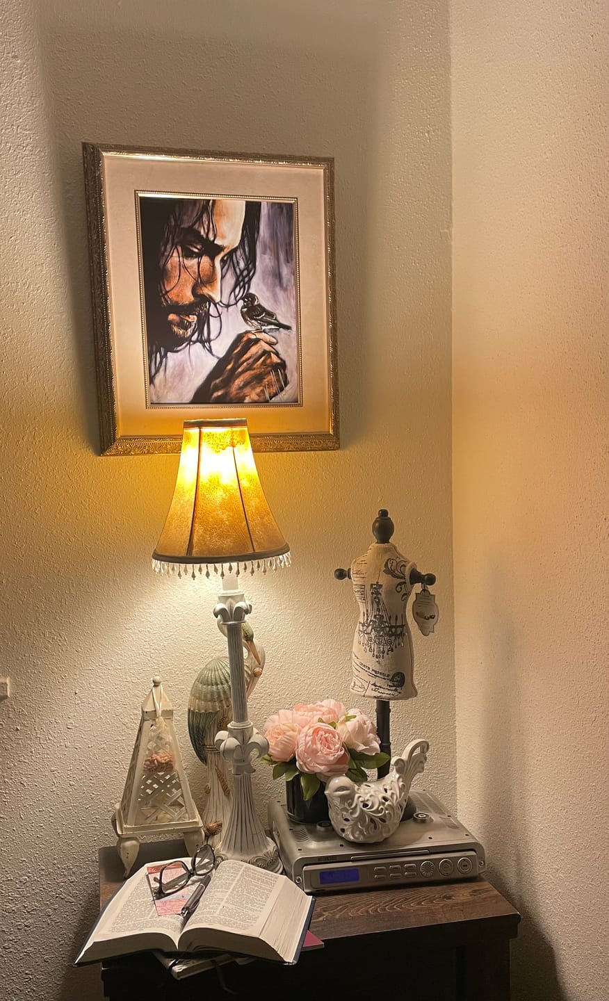 Customer photo review of Watcher of the Sparrow