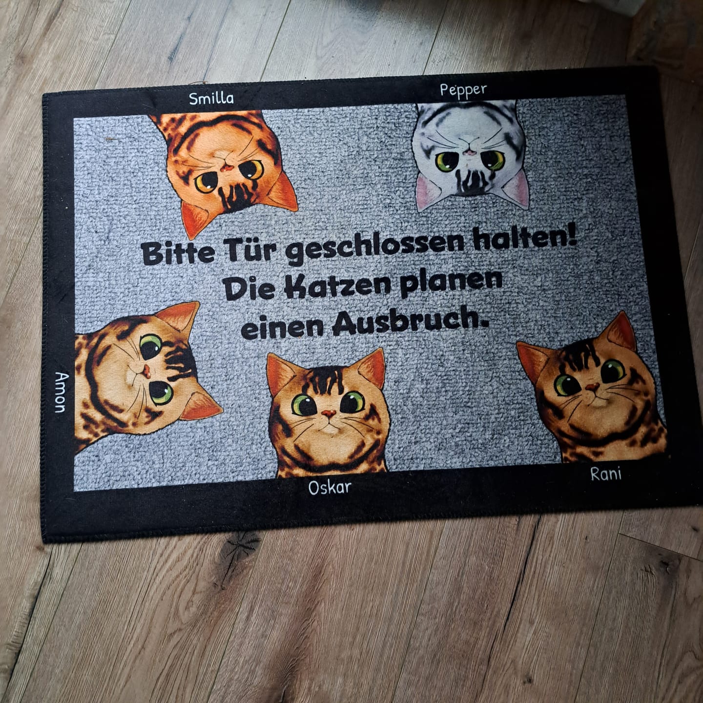 Customer photo review of Katzen planen einen Ausbruch - Individuelle Fußmatte
