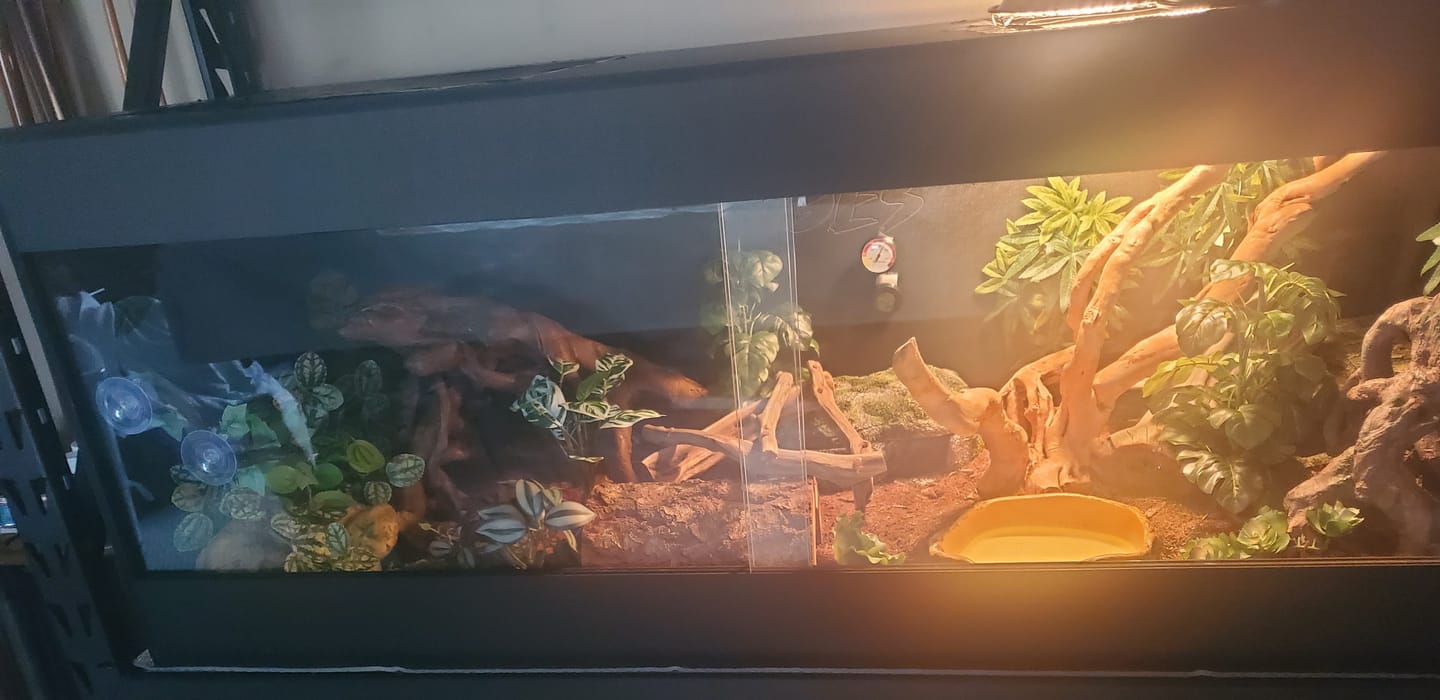 Customer photo review of 60"x24"x24" / 5'x2'x2' Premium PVC Reptile Enclosure