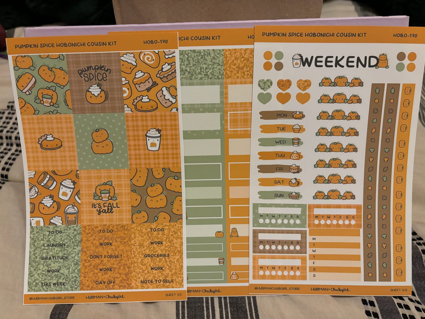 Customer photo review of Pumpkin Spice Theme Hobonichi Cousin Weekly Kit (Set of 3)