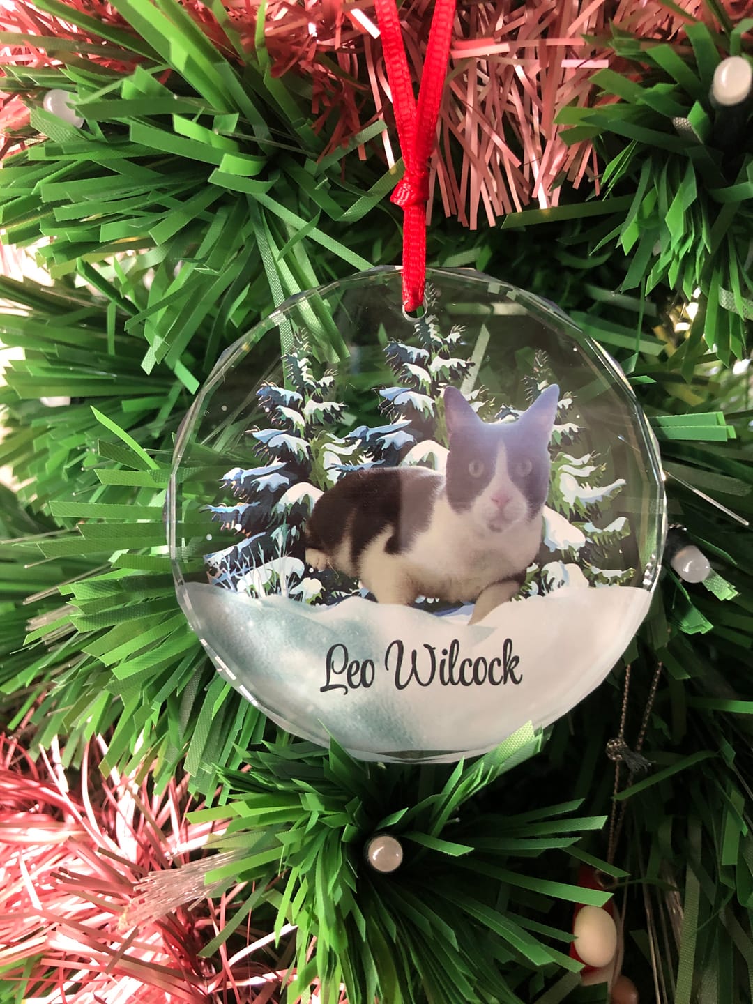 Customer photo review of Personalized Photo Dog Glass Ornament For Christmas