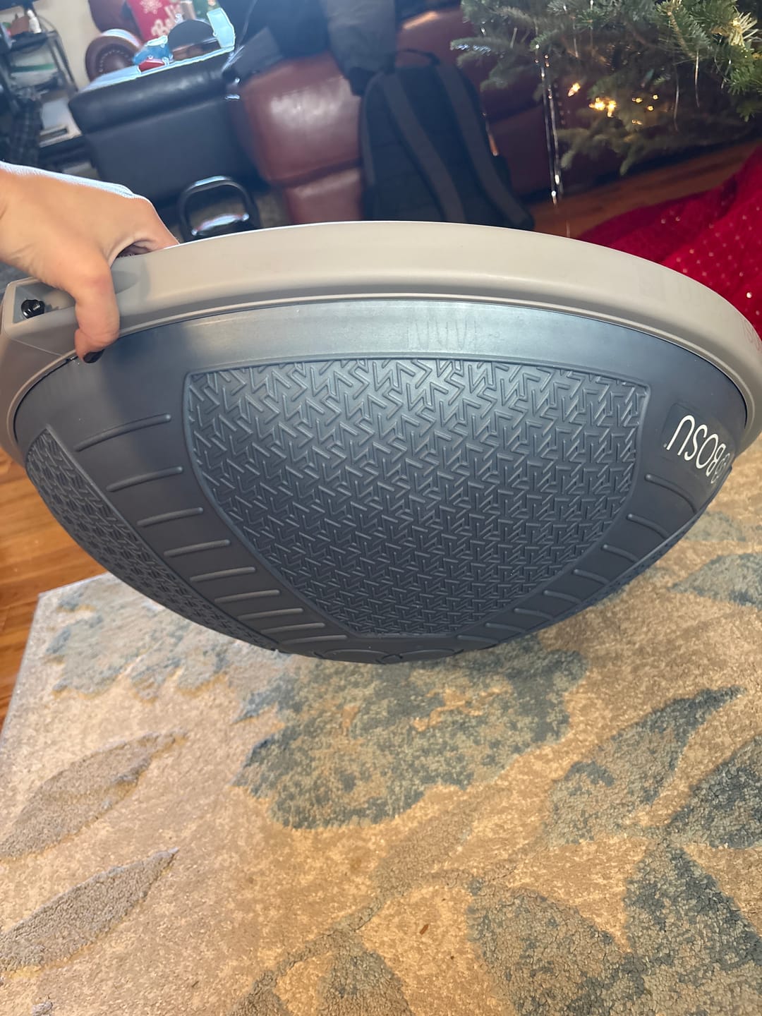 Customer photo review of BOSU® Home Balance Trainer