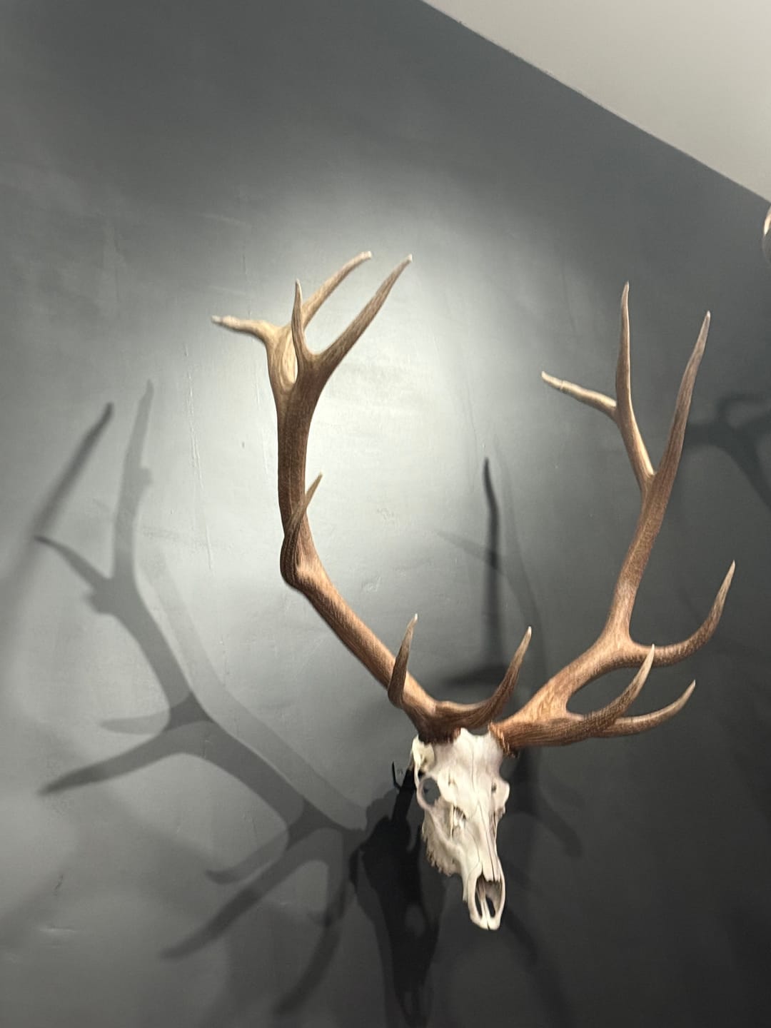 Customer photo review of SkulLok | Large Game