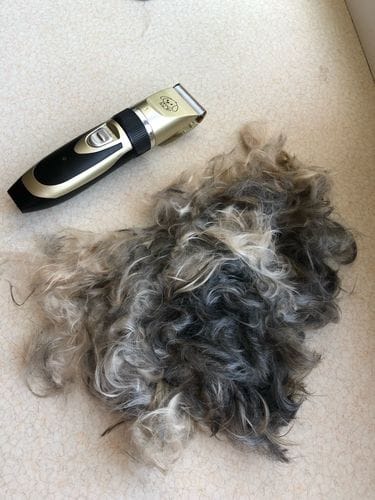 Customer photo review of The Original ClipMyPaws™ - World's Quietest Pet Hair Clipper