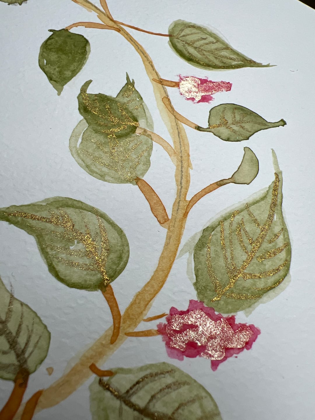 Customer photo review of Autumn Glow